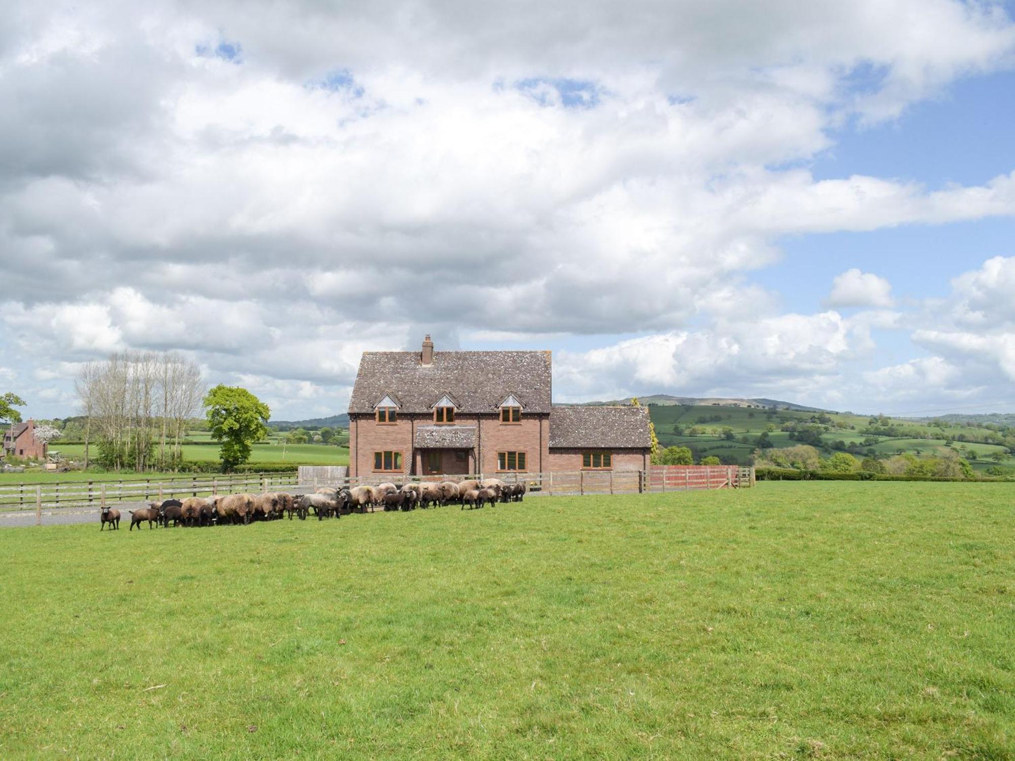 Holiday home The Larches Hopton Cangeford